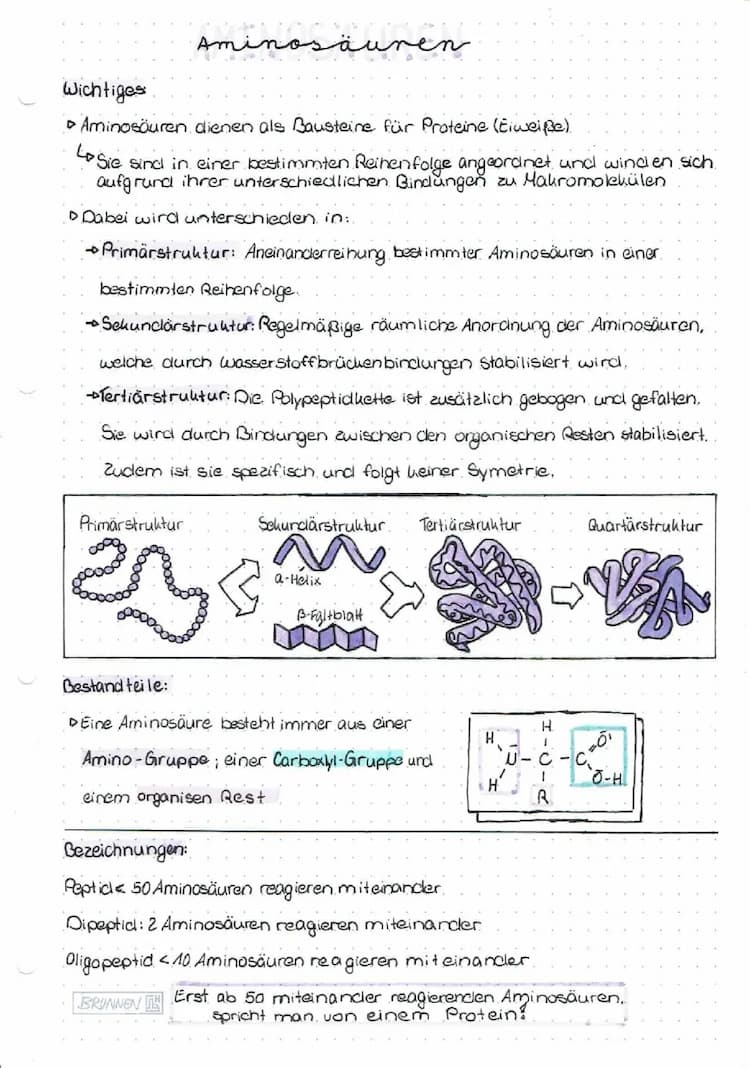 Know Aminosäuren thumbnail