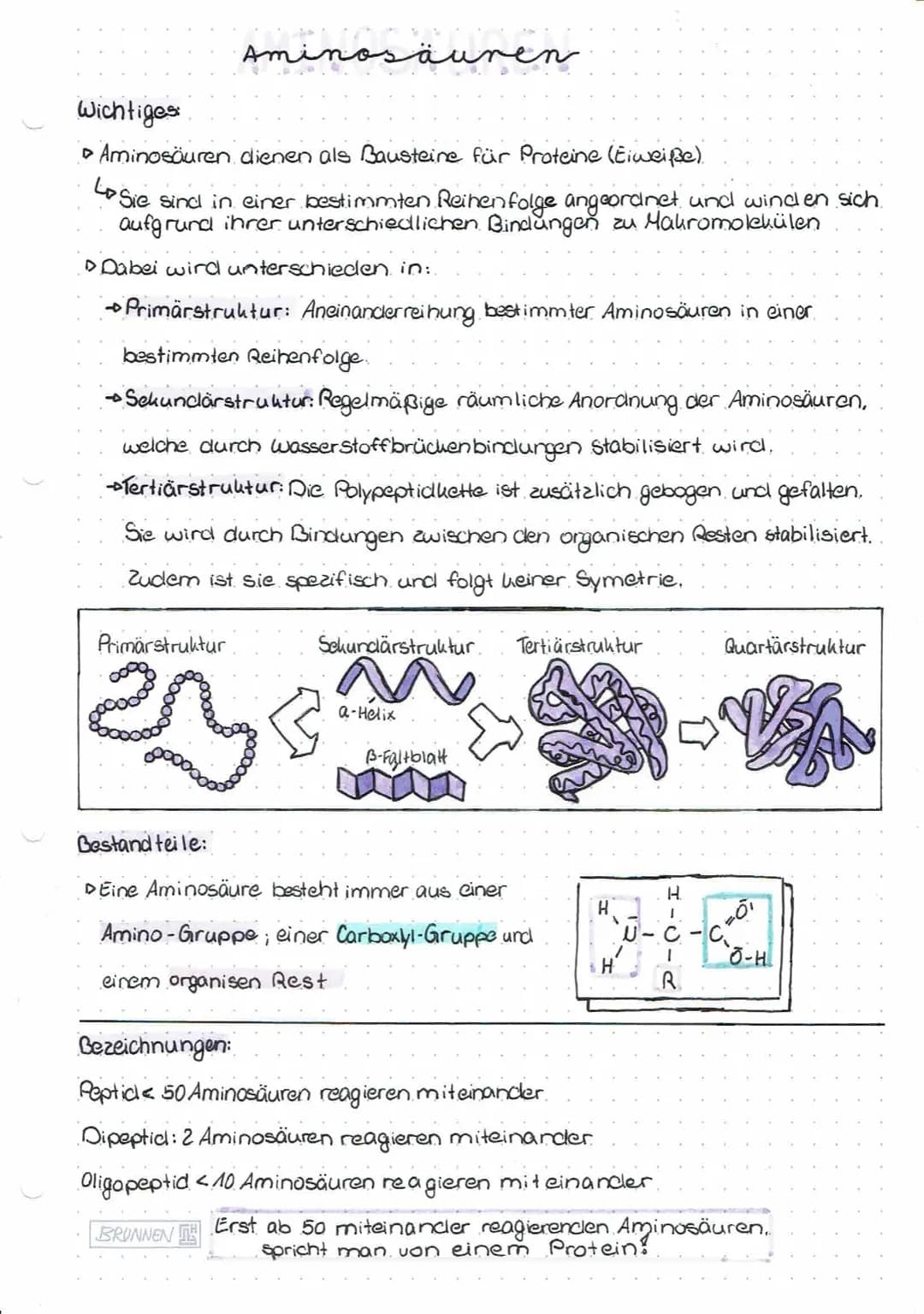 Aminosäuren
Wichtiges
▸ Aminosäuren dienen als Bausteine für Proteine (Eiweiße).
Sie sind in einer bestimmten Reihenfolge angeordnet und win