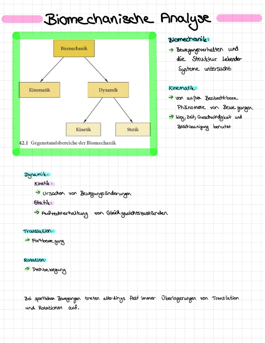 Bedeutungen von Bewegungen nach Grupe
instrumentelle
Bedeutung
Bewegungslehre
personale
Bedeutung
explorierend-erkundende
Bedeutung
Bewegung
