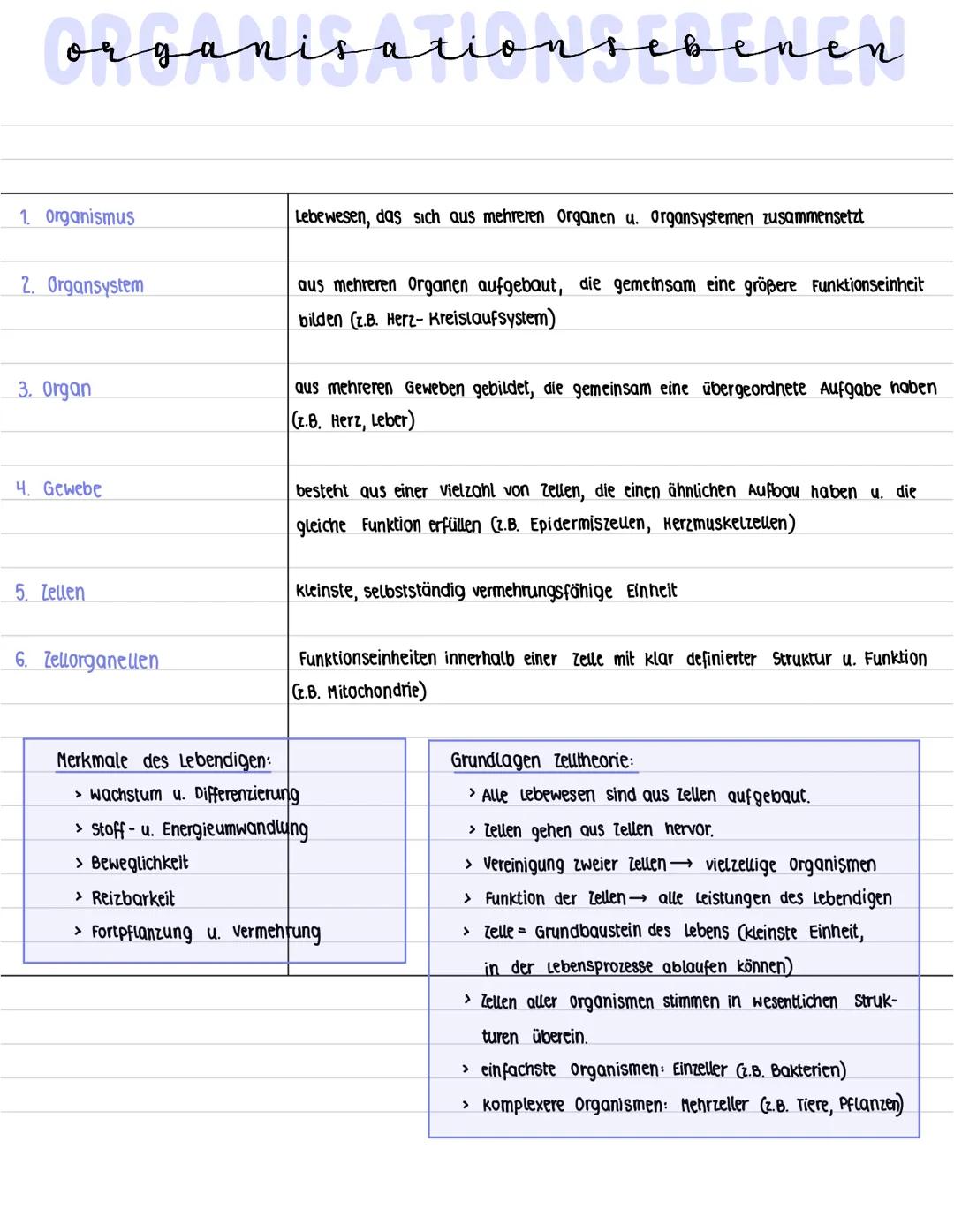 organisationsevenen
1. Organismus
2. Organsystem
3. Organ
4. Gewebe
5. Zellen
6. Zellorganellen
Lebewesen, das sich aus mehreren organen u. 