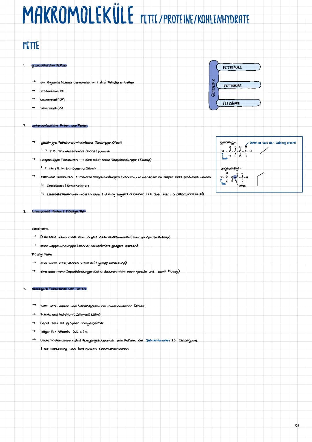 Übersicht Makromoleküle (Fette, Proteine, Kohlenhydrate)