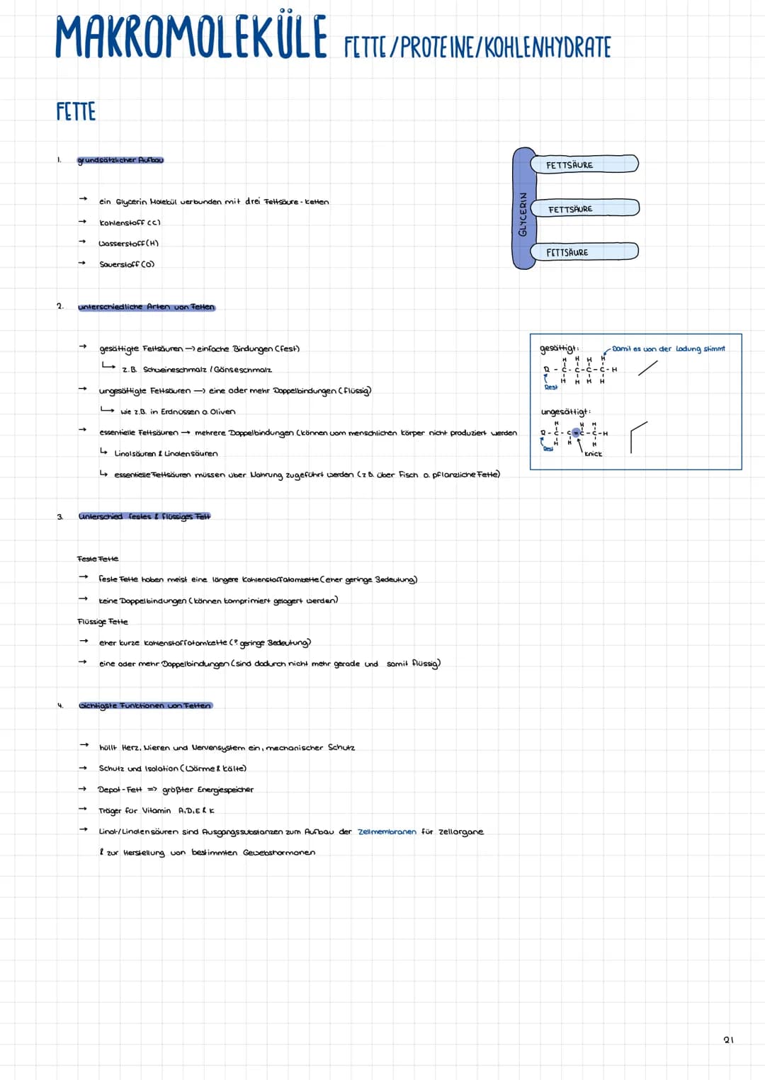 MAKROMOLEKÜLE FETTE/PROTEINE/KOHLENHYDRATE
FETTE
2.
3.
4.
grundsätzlicher Aufbau
→ Wasserstoff (H)
- Sauerstoff (0)
->
unterschiedliche Arte
