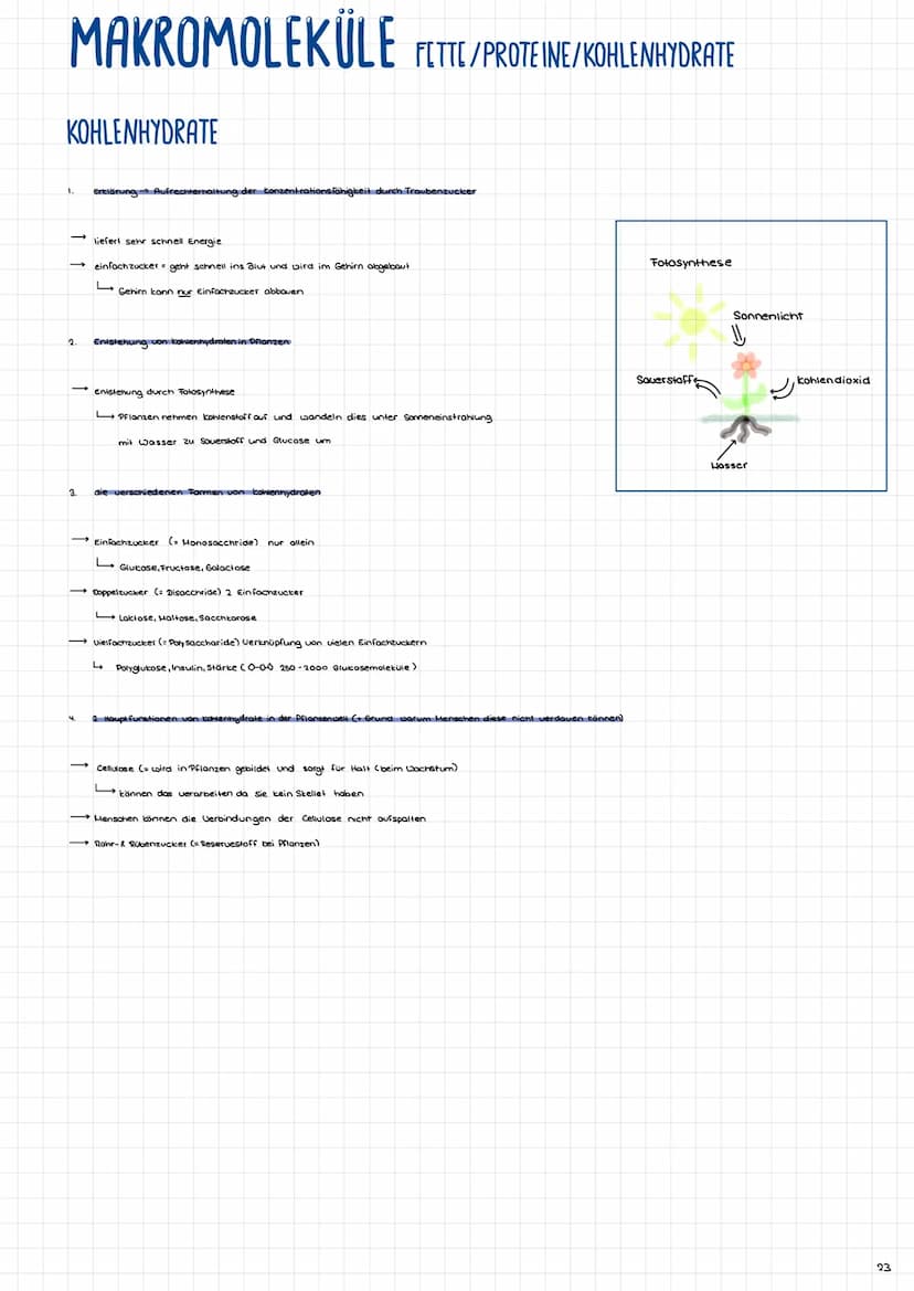 MAKROMOLEKÜLE FETTE/PROTEINE/KOHLENHYDRATE
FETTE
2.
3.
4.
grundsätzlicher Aufbau
→ Wasserstoff (H)
- Sauerstoff (0)
->
unterschiedliche Arte