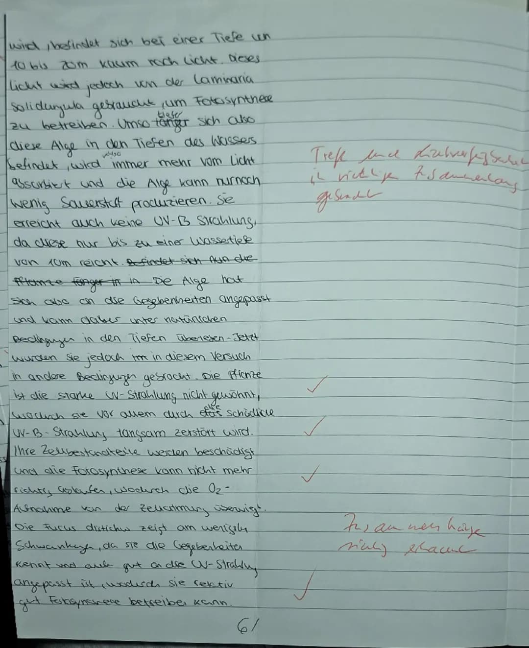 1. Aufgabe Sonnenbrand bei Seetang?
BE
✓
1.1
Beschreiben Sie anhand von M1 die wesentlichen Vorgänge der Lichtreaktion und
erläutern Sie den