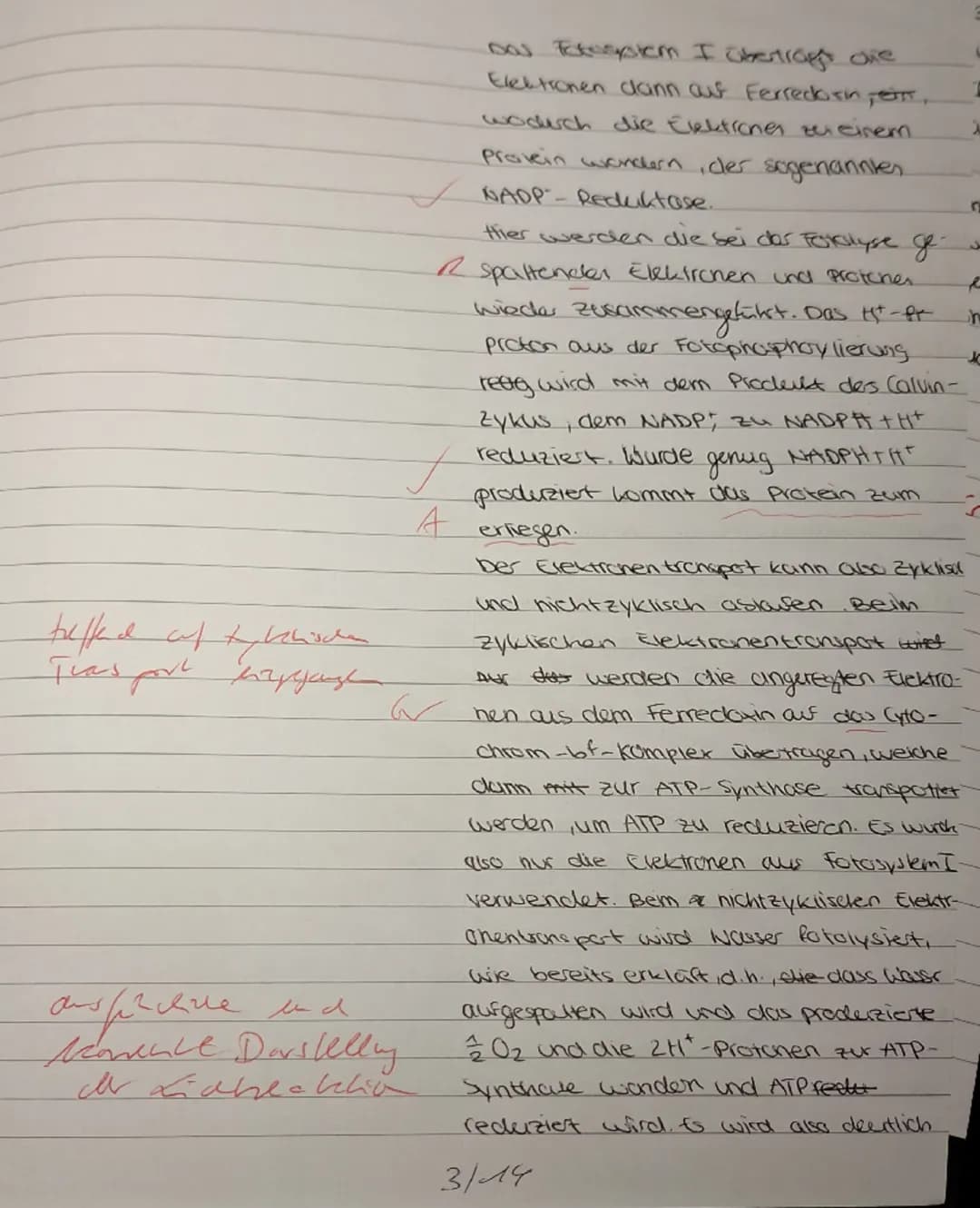 1. Aufgabe Sonnenbrand bei Seetang?
BE
✓
1.1
Beschreiben Sie anhand von M1 die wesentlichen Vorgänge der Lichtreaktion und
erläutern Sie den