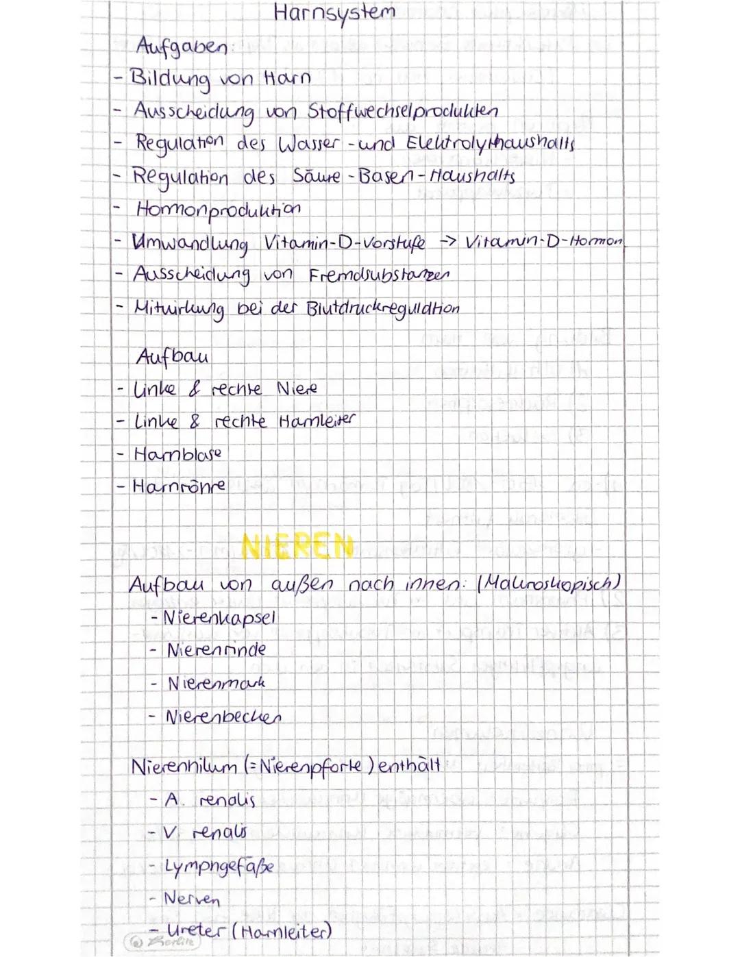 Aufgaben
- Nahrung mechanisch aufbereiten (aufnahme, zerkleinern)
Nahrung chemisch aufzuarbeiten und enzymatisch zu
Spalten (Digestion, z. B