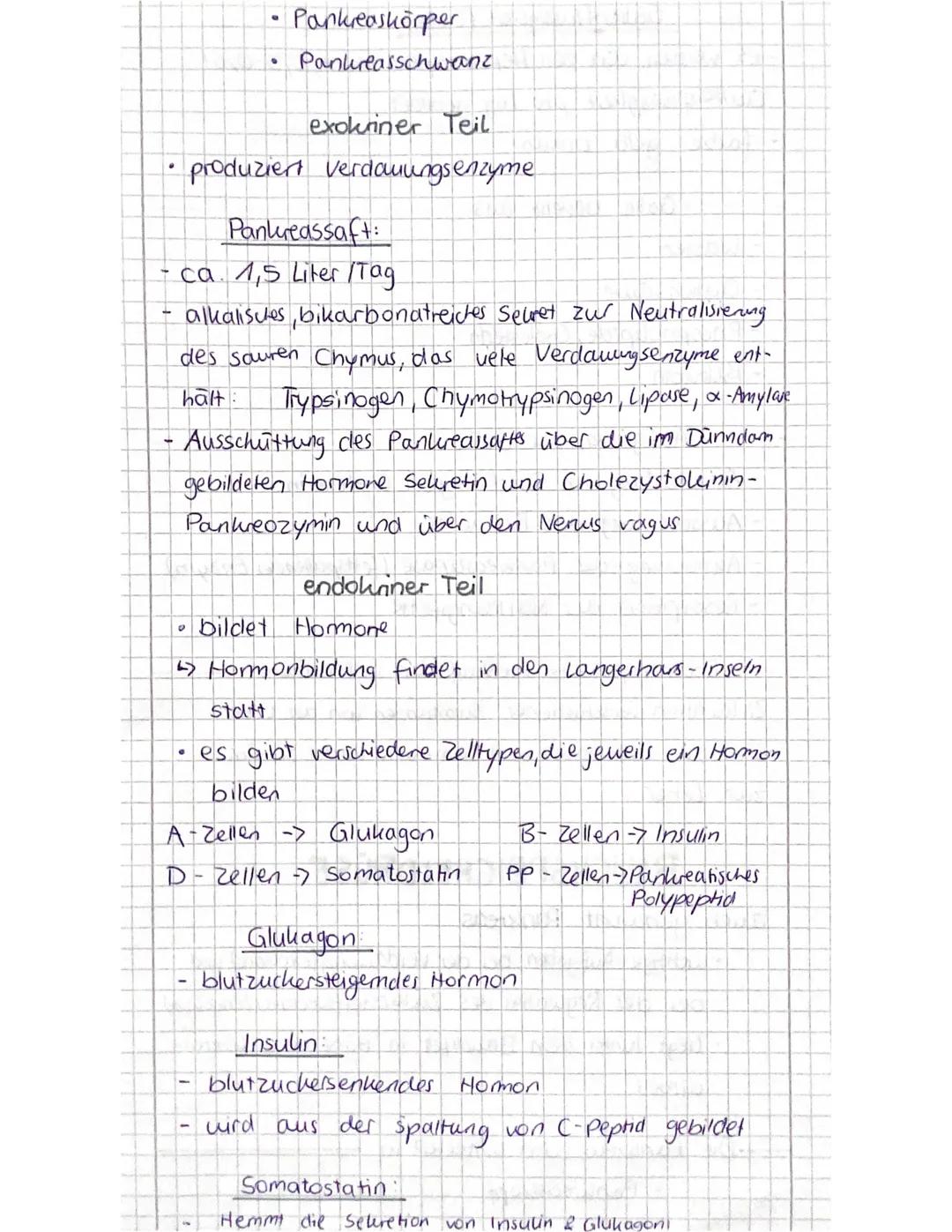 Aufgaben
- Nahrung mechanisch aufbereiten (aufnahme, zerkleinern)
Nahrung chemisch aufzuarbeiten und enzymatisch zu
Spalten (Digestion, z. B