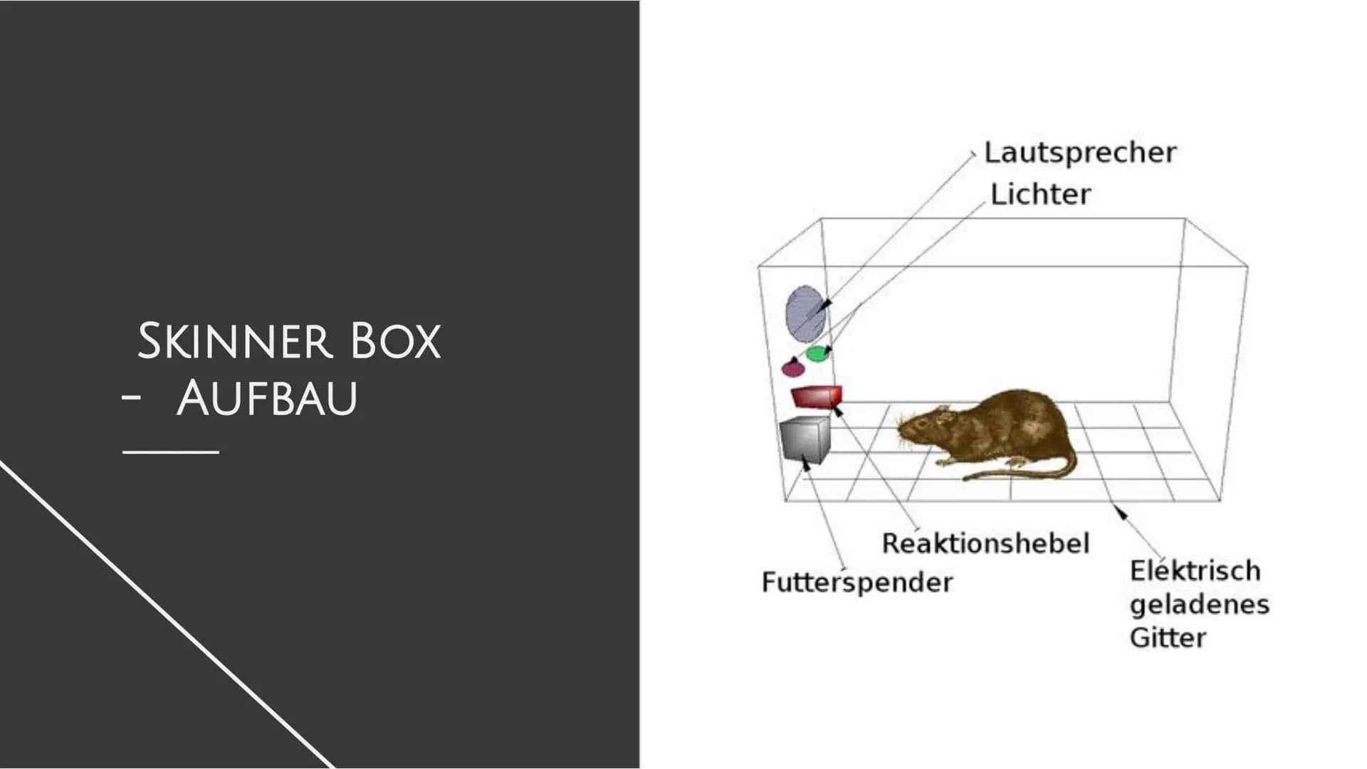 Operante Konditionierung
Definition
Operante Konditionierung: Bei einer Operanten Konditionierung wird auf die
Auftrittshäufigkeit einer Ver