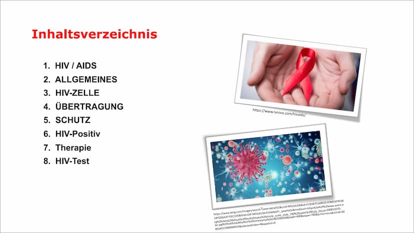 HIV
Human Immunodeficiency Virus
R Inhaltsverzeichnis
1. HIV/AIDS
2. ALLGEMEINES
3. HIV-ZELLE
4. ÜBERTRAGUNG
5. SCHUTZ
6. HIV-Positiv
7. The