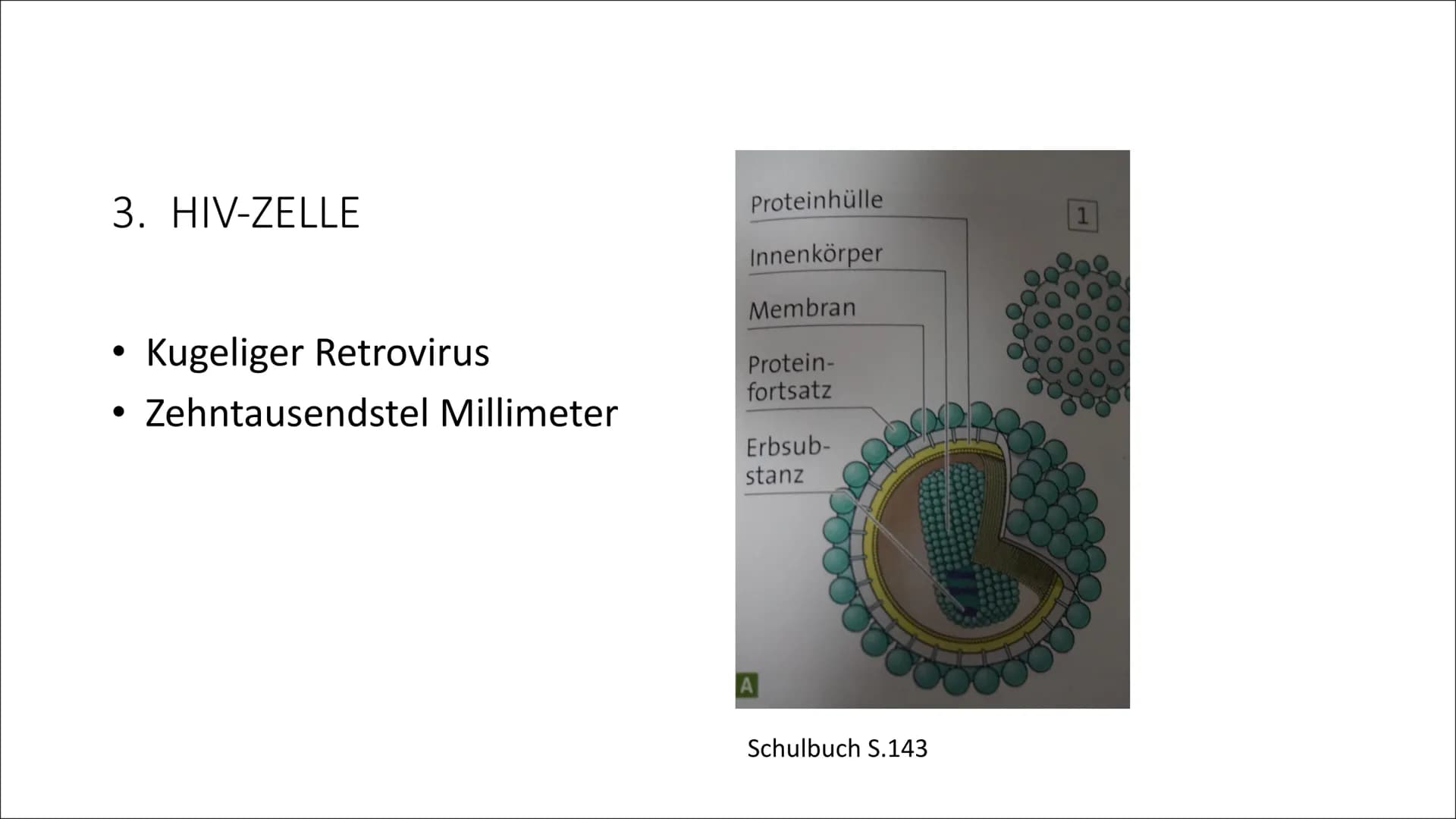 HIV
Human Immunodeficiency Virus
R Inhaltsverzeichnis
1. HIV/AIDS
2. ALLGEMEINES
3. HIV-ZELLE
4. ÜBERTRAGUNG
5. SCHUTZ
6. HIV-Positiv
7. The