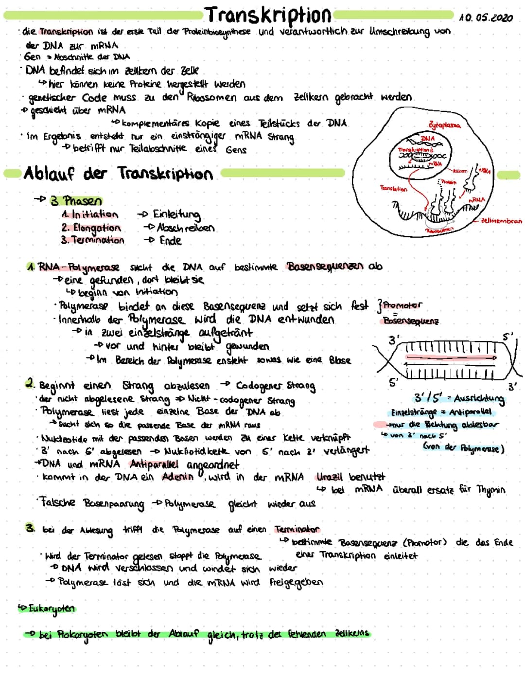 Transkription