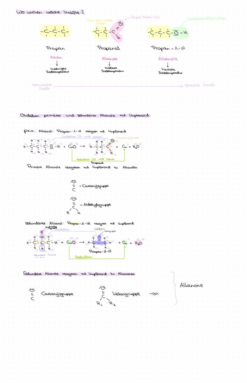 CHEMIEKLAUGUR
ALKANOLE
funktionelle Gruppe der Alkohol - Moleküle = Hydroxygruppe
Alkanole bilden eine homologe Reihe:
Kame
Methanol
Ethand
