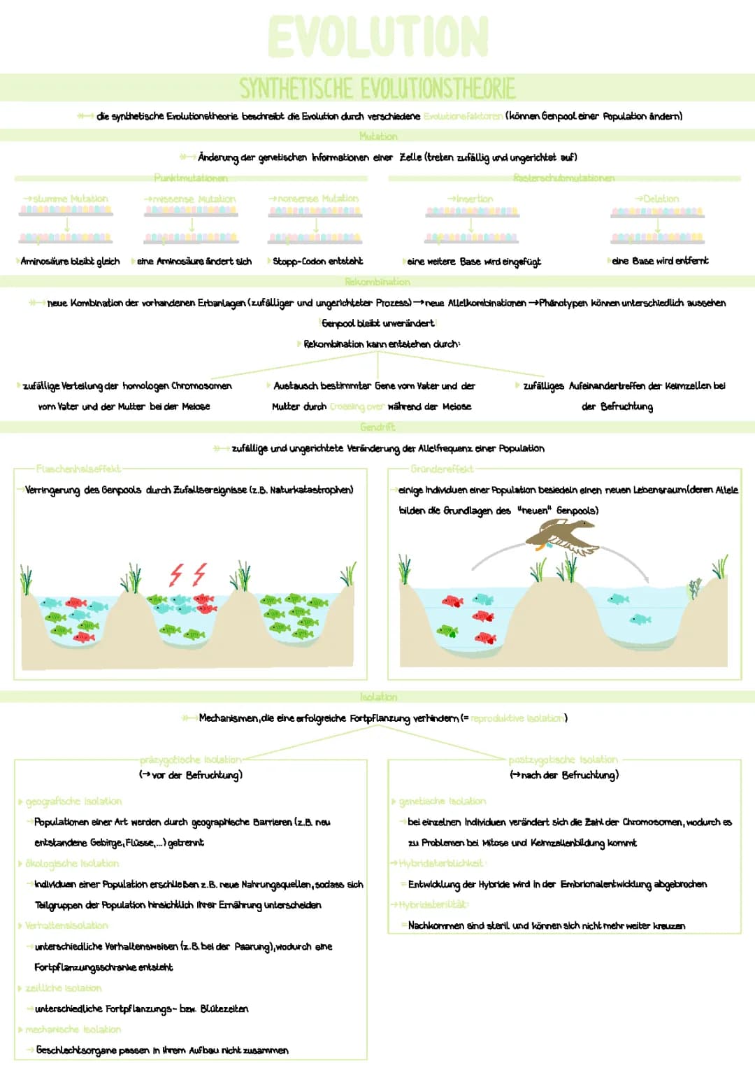Evolution Biologie