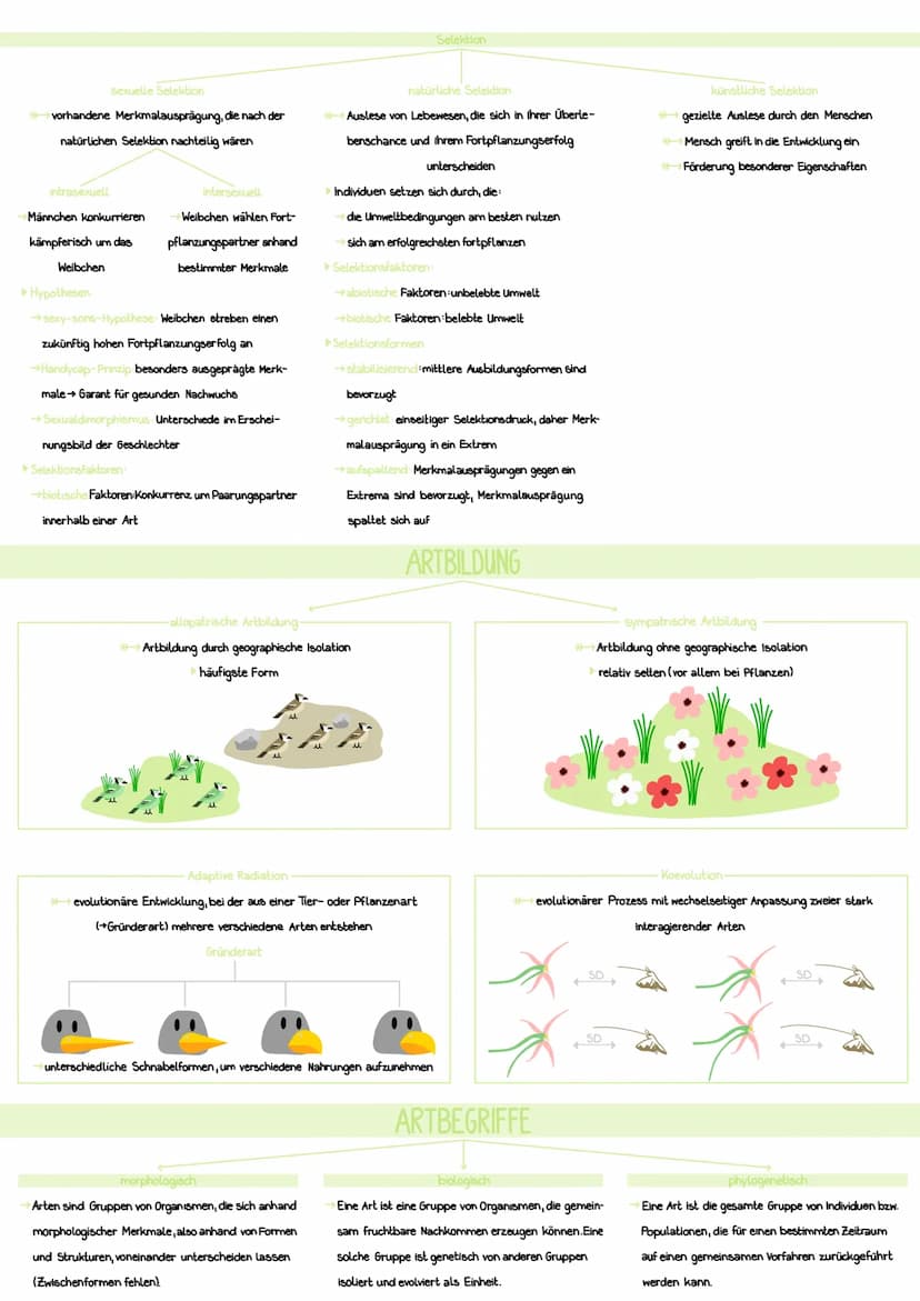 SYNTHETISCHE EVOLUTIONSTHEORIE
>>> die synthetische Evolutionstheorie beschreibt die Evolution durch verschiedene Evolutionsfaktoren (können