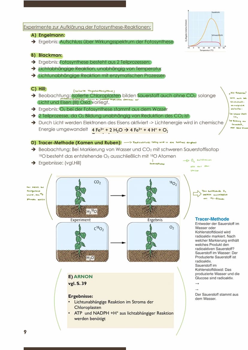  BIOLOGIE
Marie Ontl;
9.November 2020
1.Kurzarbeit
2) Energiebindung und Stoffaufbau durch Fotosynthese
2.1 Grundbegriffe zum Stoffwechsel
D