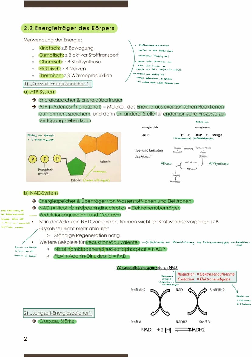  BIOLOGIE
Marie Ontl;
9.November 2020
1.Kurzarbeit
2) Energiebindung und Stoffaufbau durch Fotosynthese
2.1 Grundbegriffe zum Stoffwechsel
D