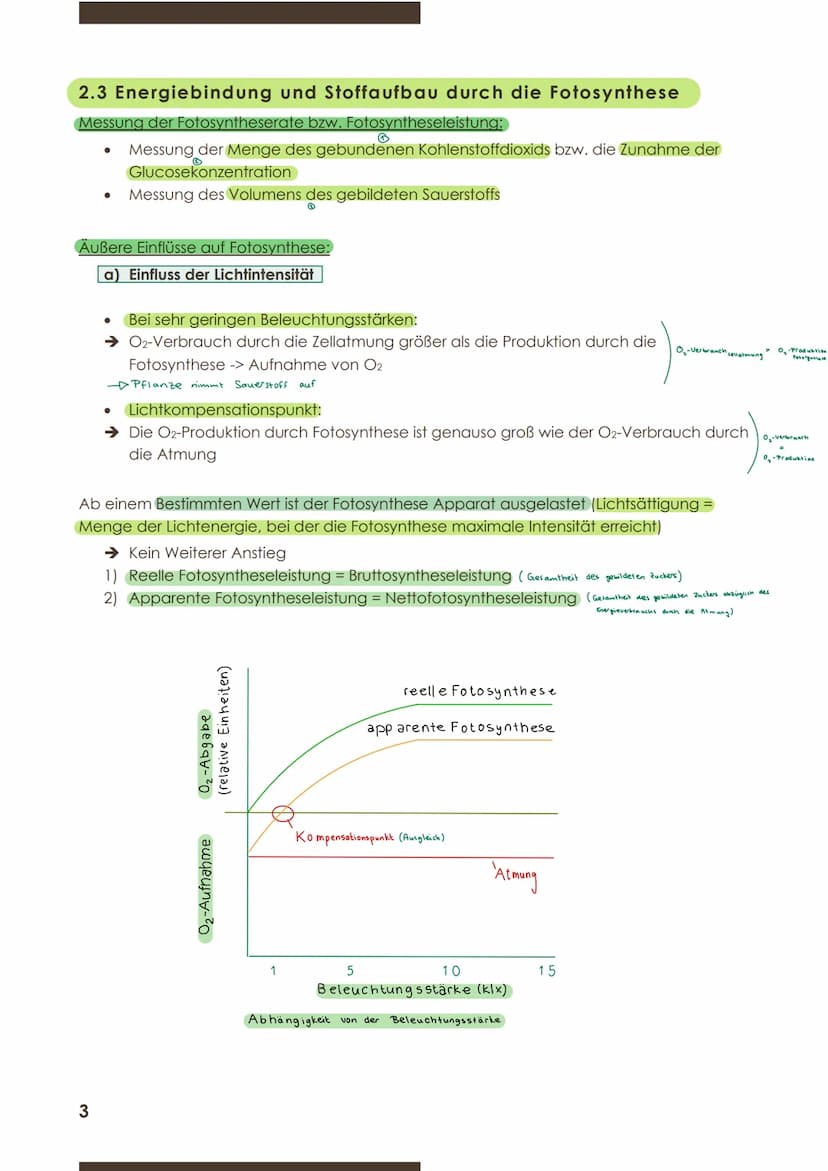  BIOLOGIE
Marie Ontl;
9.November 2020
1.Kurzarbeit
2) Energiebindung und Stoffaufbau durch Fotosynthese
2.1 Grundbegriffe zum Stoffwechsel
D