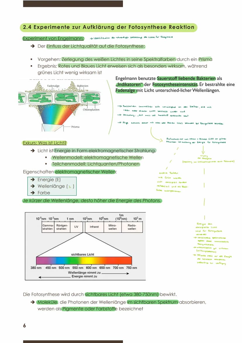  BIOLOGIE
Marie Ontl;
9.November 2020
1.Kurzarbeit
2) Energiebindung und Stoffaufbau durch Fotosynthese
2.1 Grundbegriffe zum Stoffwechsel
D