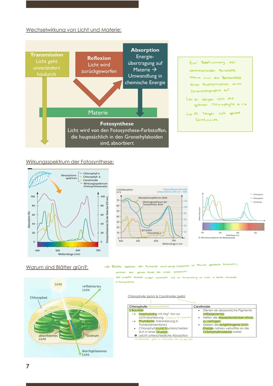  BIOLOGIE
Marie Ontl;
9.November 2020
1.Kurzarbeit
2) Energiebindung und Stoffaufbau durch Fotosynthese
2.1 Grundbegriffe zum Stoffwechsel
D