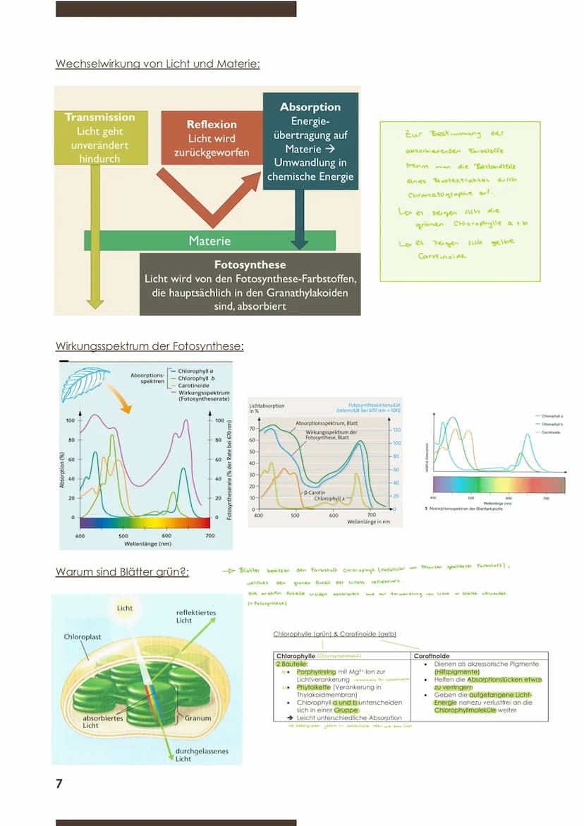  BIOLOGIE
Marie Ontl;
9.November 2020
1.Kurzarbeit
2) Energiebindung und Stoffaufbau durch Fotosynthese
2.1 Grundbegriffe zum Stoffwechsel
D