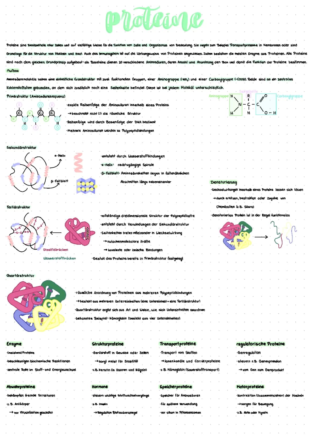Proteine