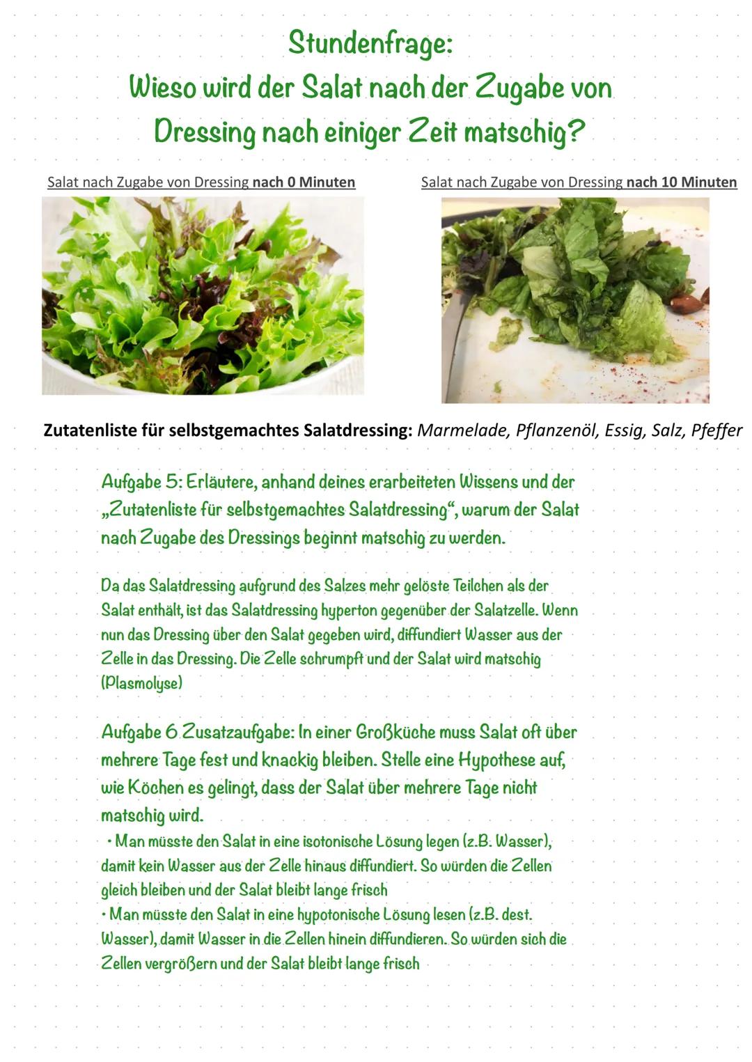 Konzentrationsunterschied.
Semipermeable
Membran
Lösungsmittel
Osmose
geringe
hohe
Konzentration Konzentration
gelöste
Lösungsmittel diffund