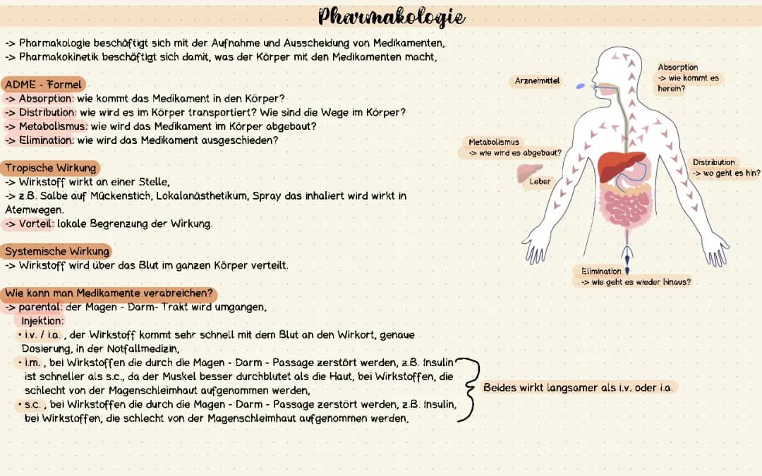 Pharmakologie