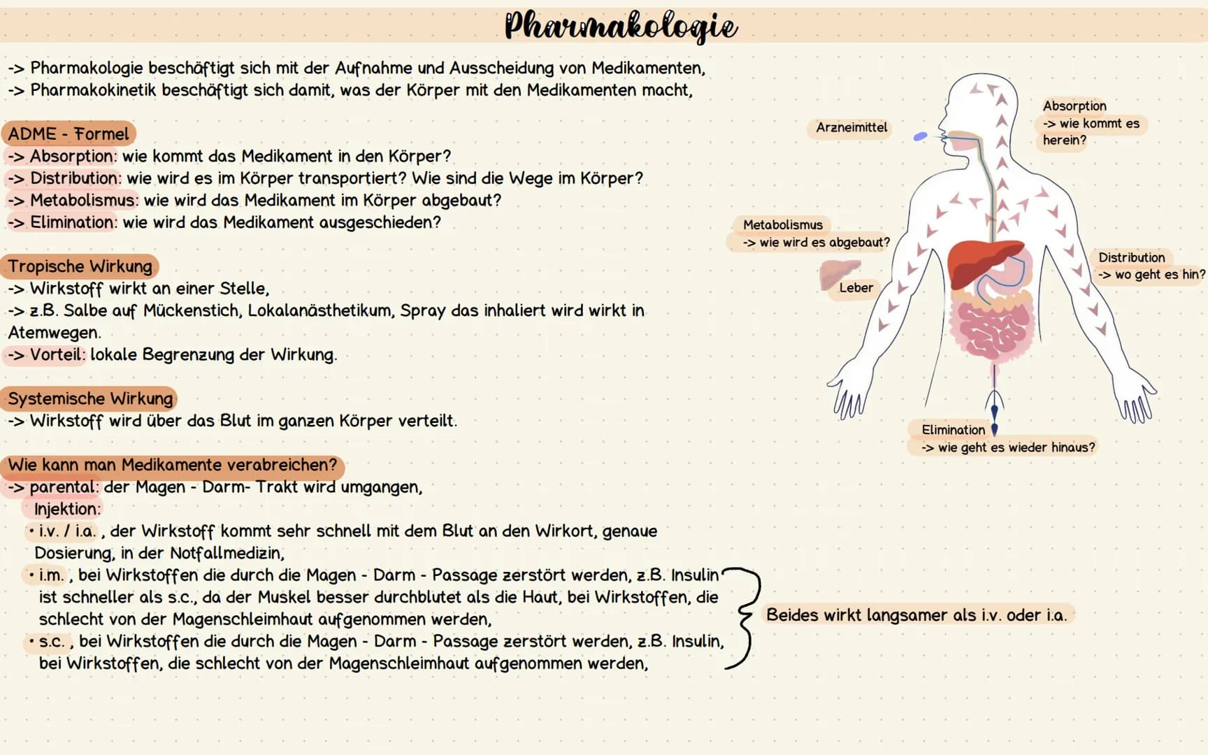 Pharmakologie
-> Pharmakologie beschäftigt sich mit der Aufnahme und Ausscheidung von Medikamenten,
-> Pharmakokinetik beschäftigt sich dami