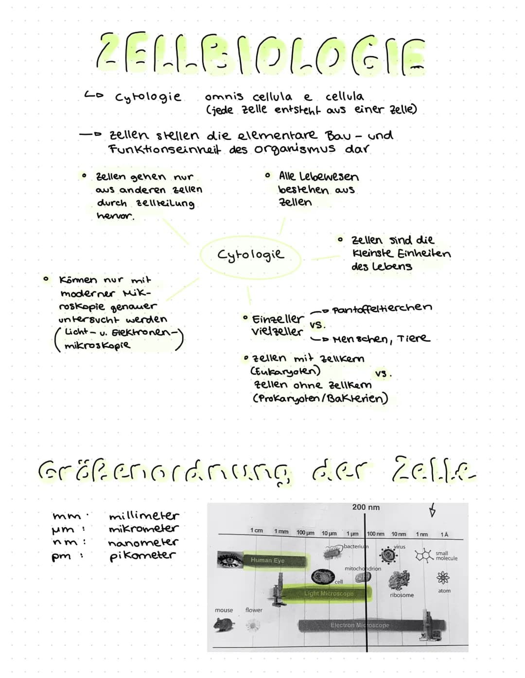 O
ZELLBIOLOGIF
Lo Cytologie.
und
-- Zellen stellen die elementare Bau
Funktionseinheit des organismus dar
Können nur mit
moderner Mik-
rosko
