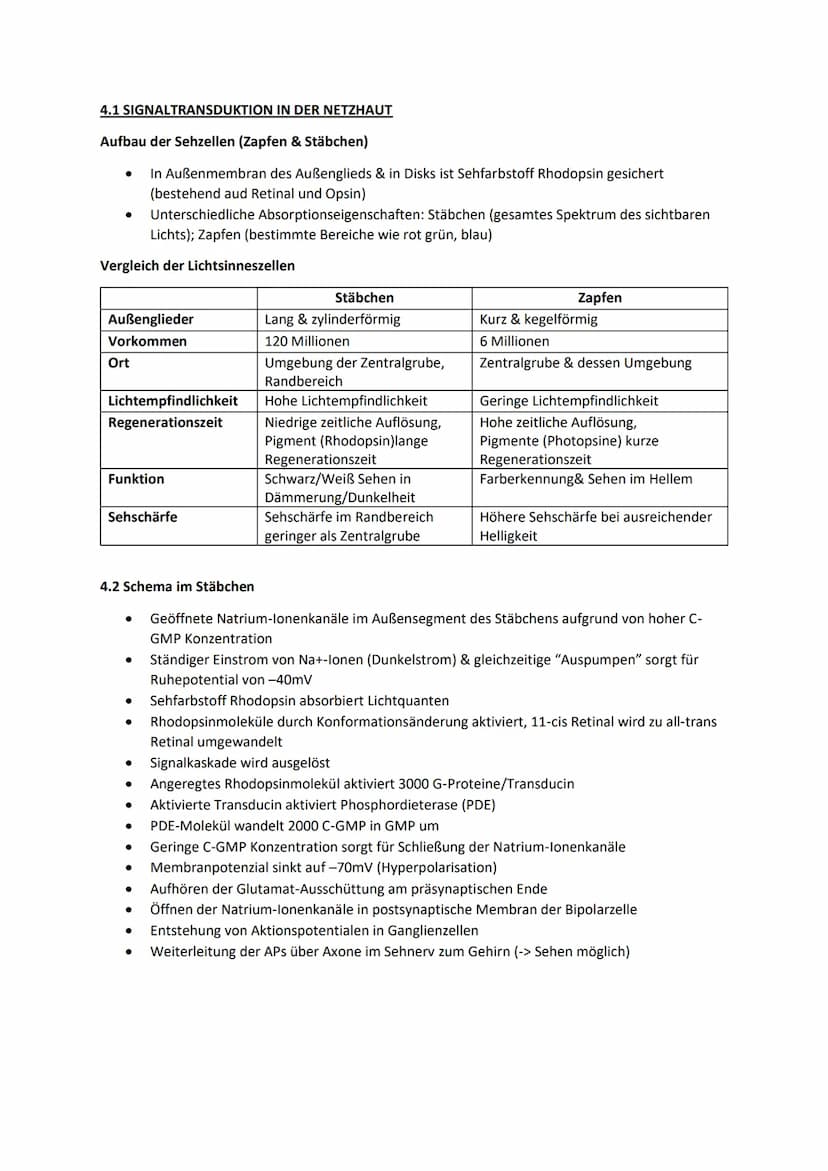 1. TRANSMITTERWIRKUNG: CHEMISCHE & ELEKTRISCHE SYNAPSE (ACETYL-CHOLIN)
Synapsen:
Dienen zur Informationsverarbeitung & Weiterleitung durch E