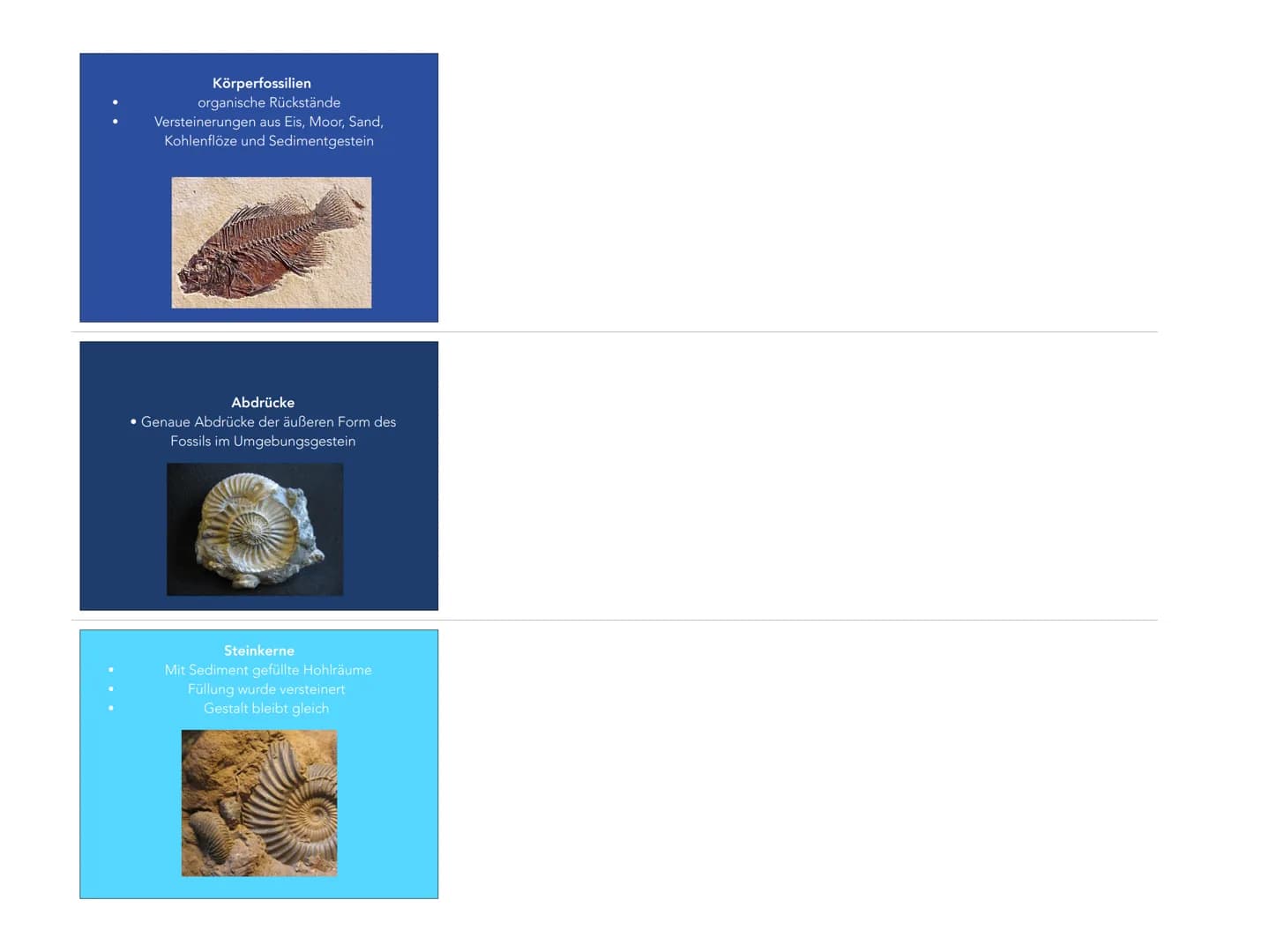 EVOLUTION
FOSSILIEN ALS BELEGE
FÜR DIE EVOLUTION
WAS SIND FOSSILIEN?
Versteinerte Überreste von Spuren und
Organismen
Älter als 10000 Jahre
