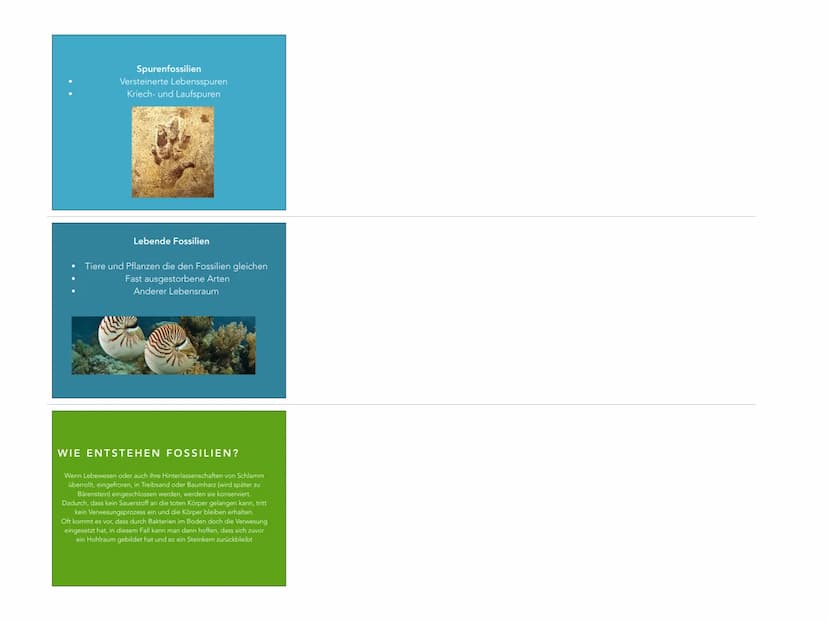 EVOLUTION
FOSSILIEN ALS BELEGE
FÜR DIE EVOLUTION
WAS SIND FOSSILIEN?
Versteinerte Überreste von Spuren und
Organismen
Älter als 10000 Jahre
