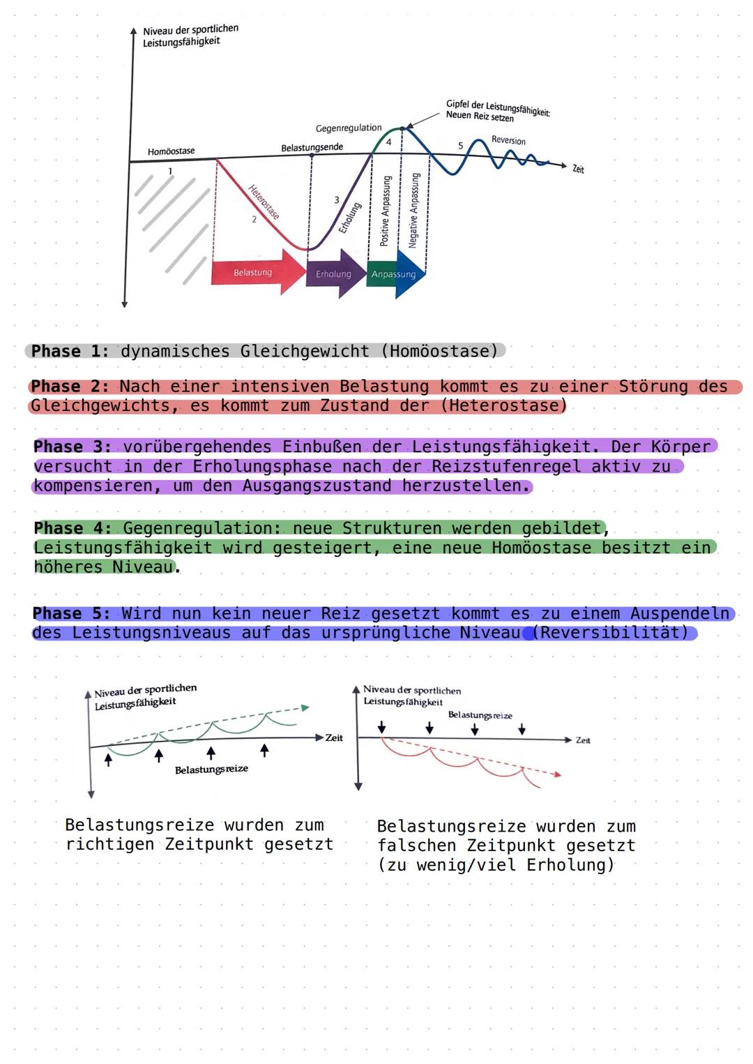 # Sport Lk

Was bedeutet Leistung im Sport?

Koordinative Fähigkeiten
Bewegungsfähigkeiten

Emotion, Motivation, Wille

Psyche

←

I

Taktik