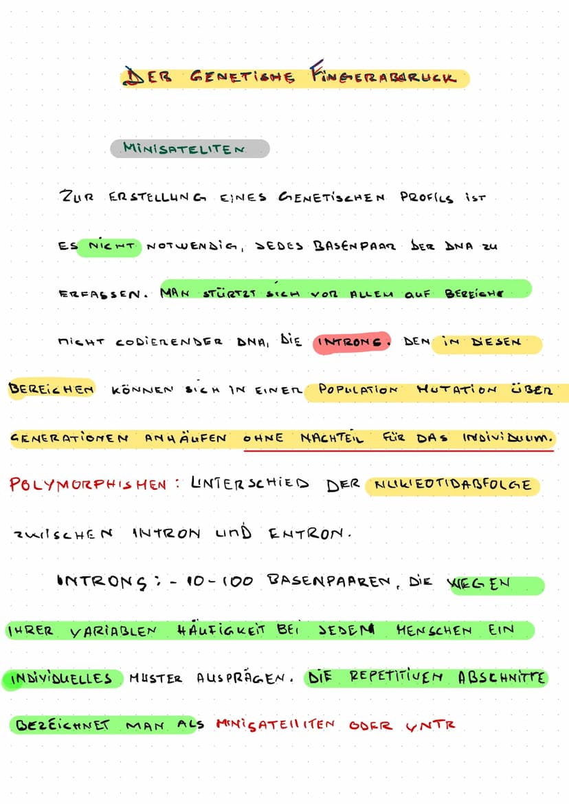 Klausur Genetik + Gentechik
Künstliche DNA- Rekombination
TOL-Plasmid
Ringförmige DNA-Stücke, die natürlicherweise zwischen
Bakterienzellen 