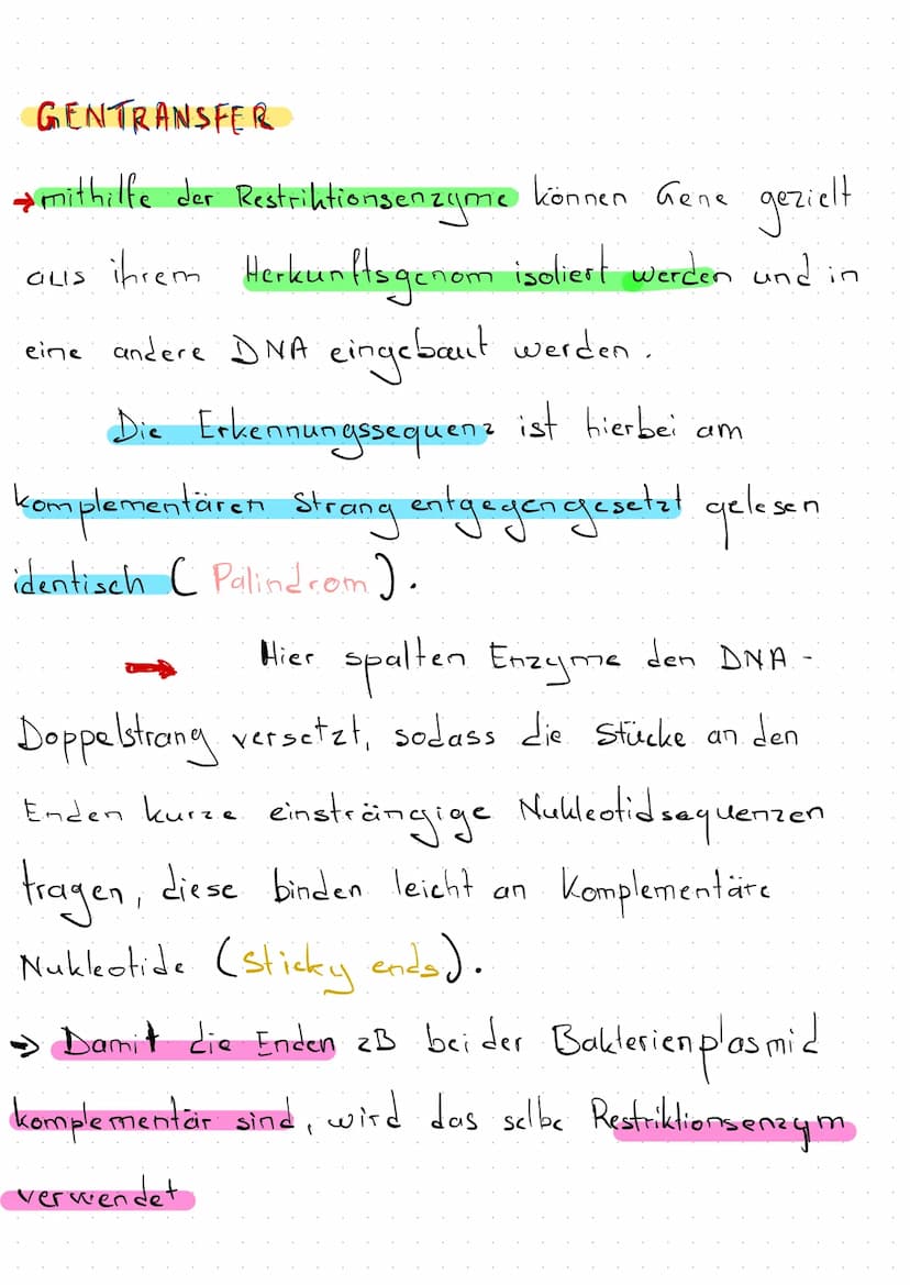 Klausur Genetik + Gentechik
Künstliche DNA- Rekombination
TOL-Plasmid
Ringförmige DNA-Stücke, die natürlicherweise zwischen
Bakterienzellen 