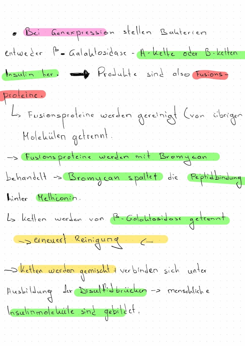 Klausur Genetik + Gentechik
Künstliche DNA- Rekombination
TOL-Plasmid
Ringförmige DNA-Stücke, die natürlicherweise zwischen
Bakterienzellen 