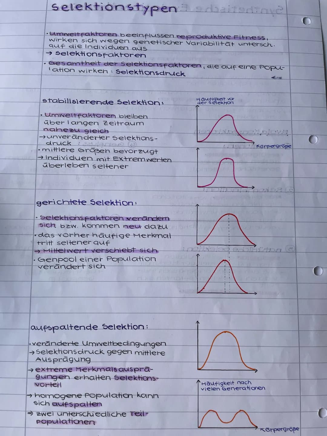 
<p>Evolutionsfaktoren sind Prozesse, die die genetische Struktur einer Population beeinflussen, also die Zusammensetzung des Genpools. Es g