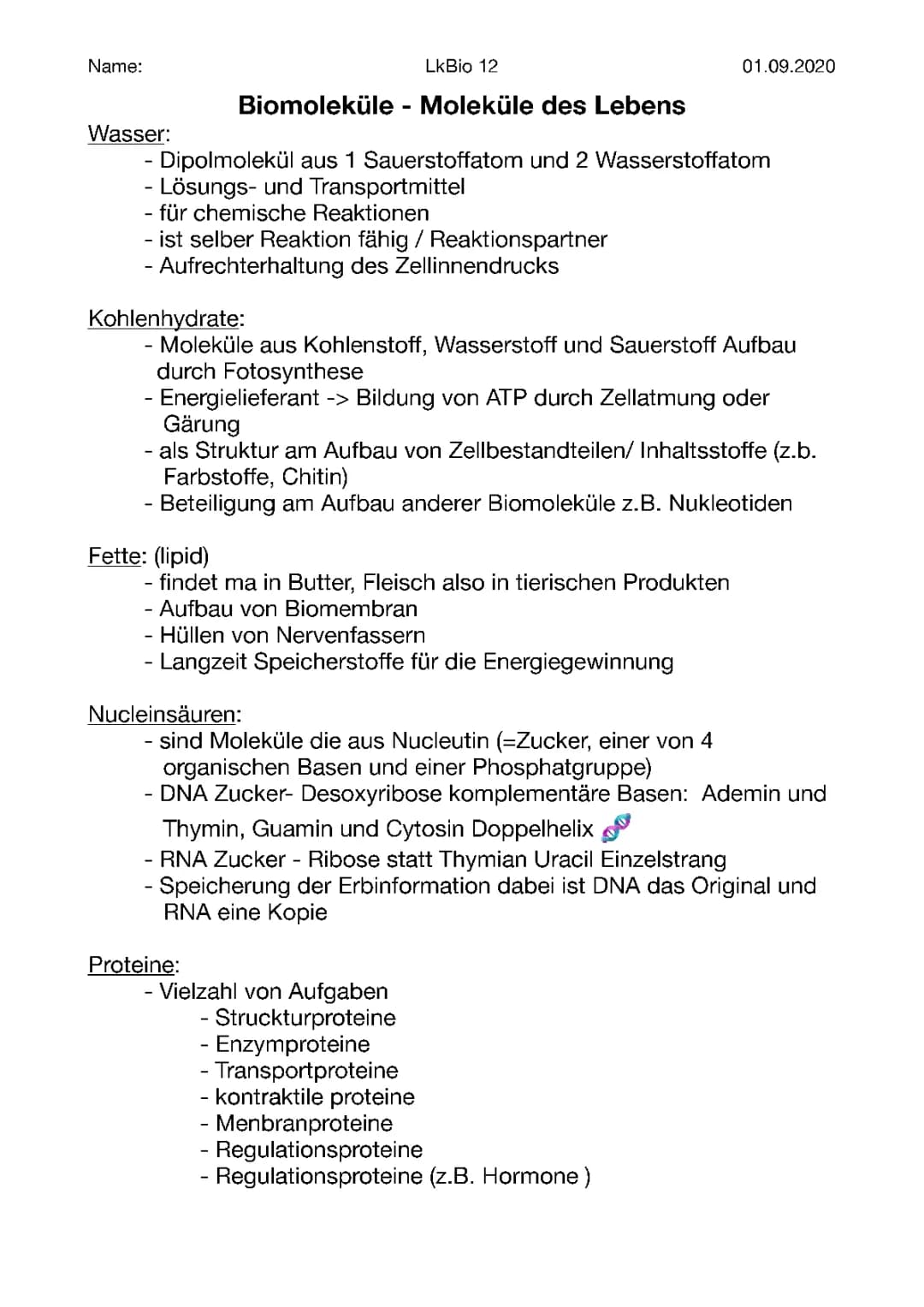 Biomoleküle: Beispiele, Funktionen und Rätsel für dich