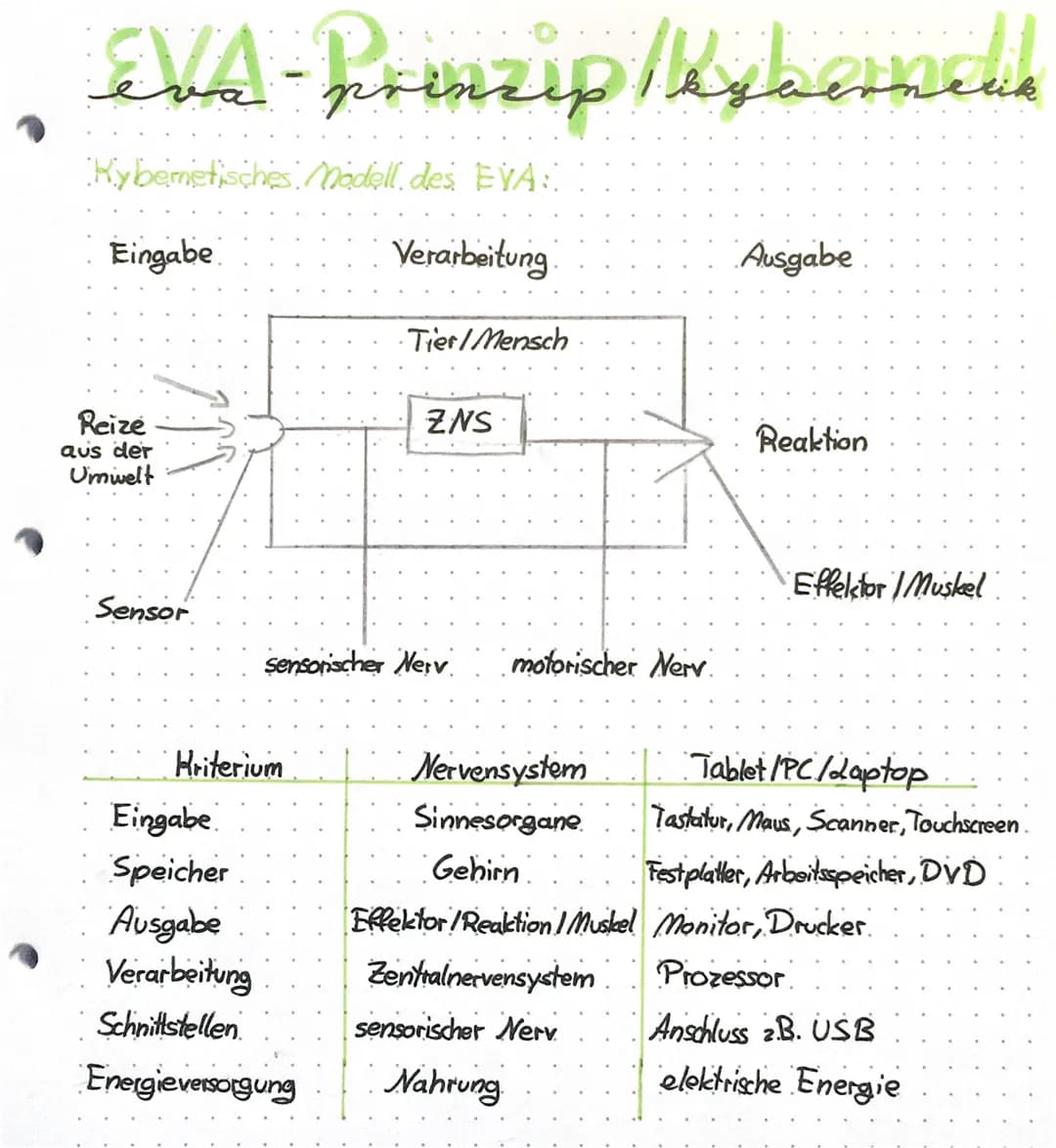 Eva-Prinzip/Kybernens
Modell des EVAL
Verarbeitung
Kybernetisches
Eingabe
Reize
aus der
Umwelt
Sensor
Tier/Mensch.
Kriterium
ZNS
sensonscher