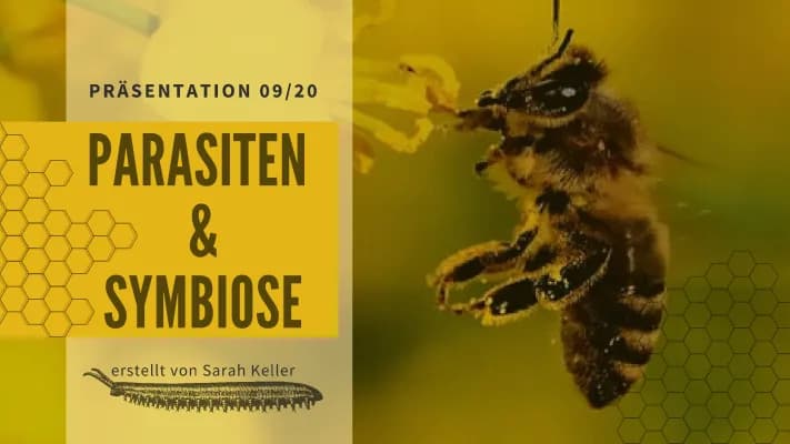 Know Präsentation Parasiten & Symbiose, Ökologie thumbnail
