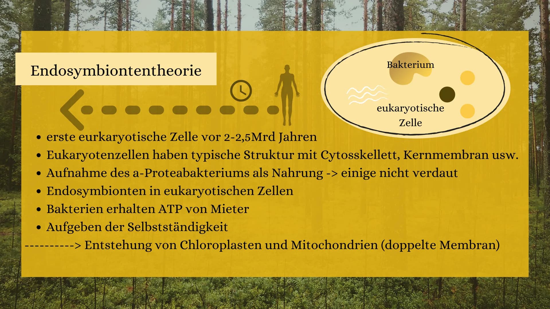 PRÄSENTATION 09/20
PARASITEN
&
SYMBIOSE
erstellt von Sarah Keller
AND THE Gliederung
• Definition der Symbiose
• besondere Einteilungen der 