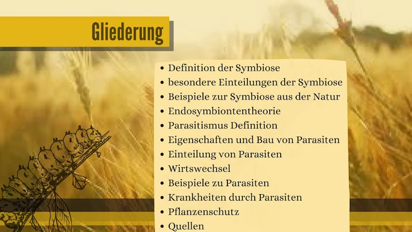 PRÄSENTATION 09/20
PARASITEN
&
SYMBIOSE
erstellt von Sarah Keller
AND THE Gliederung
• Definition der Symbiose
• besondere Einteilungen der 