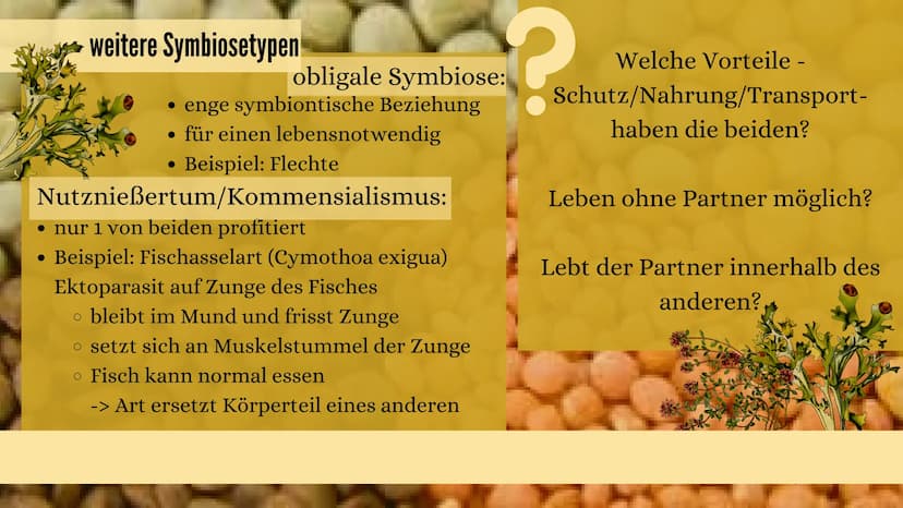 PRÄSENTATION 09/20
PARASITEN
&
SYMBIOSE
erstellt von Sarah Keller
AND THE Gliederung
• Definition der Symbiose
• besondere Einteilungen der 
