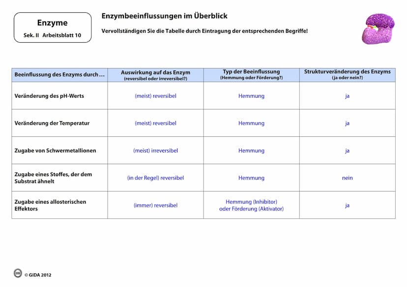 Energieinhalt
Enzyme
Sek. II Arbeitsblatt 1
A+B
Energiediagramm chemischer Reaktionen ohne und mit Katalysator
1. Zeichnen Sie die Kurvenver