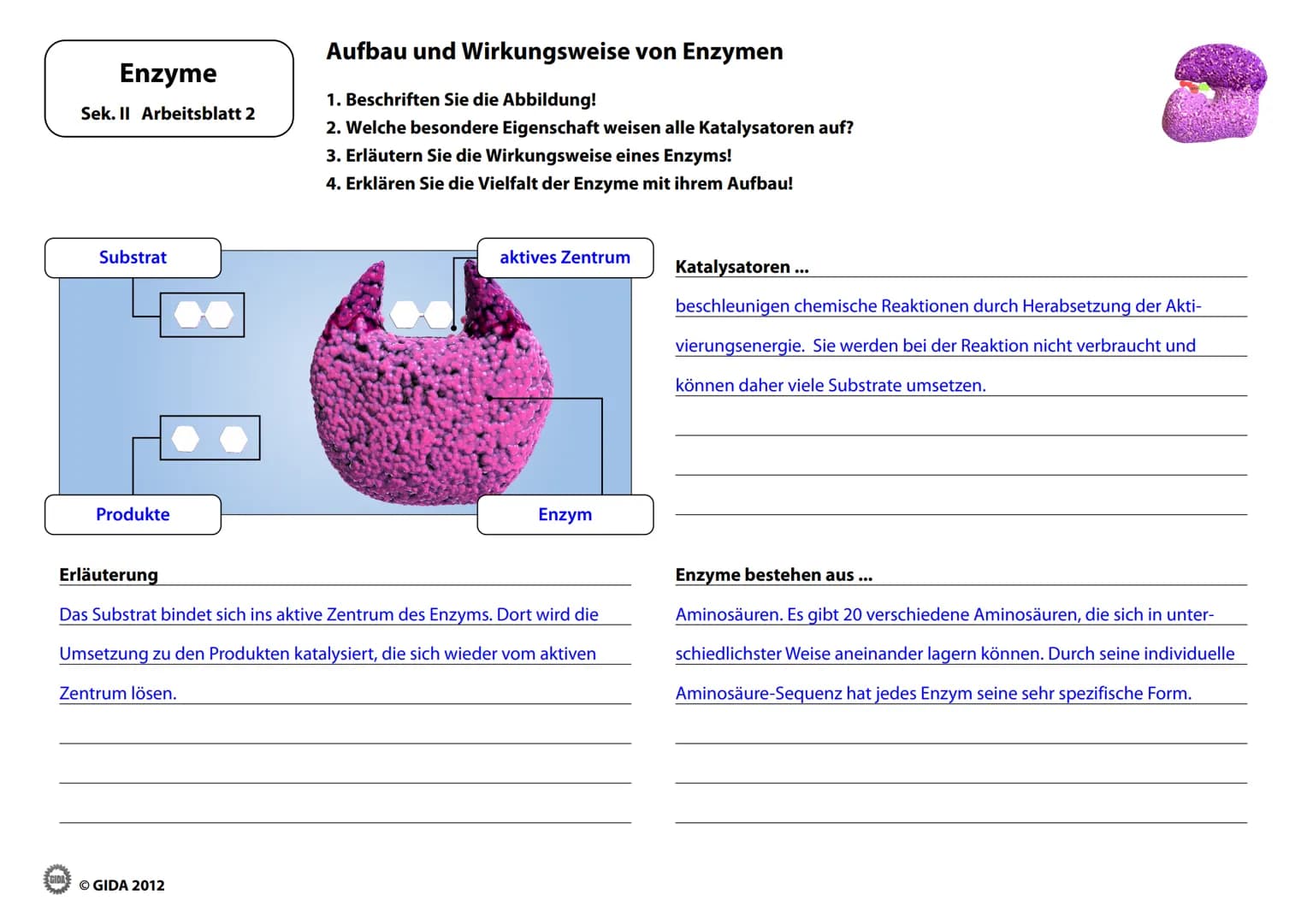 Energieinhalt
Enzyme
Sek. II Arbeitsblatt 1
A+B
Energiediagramm chemischer Reaktionen ohne und mit Katalysator
1. Zeichnen Sie die Kurvenver