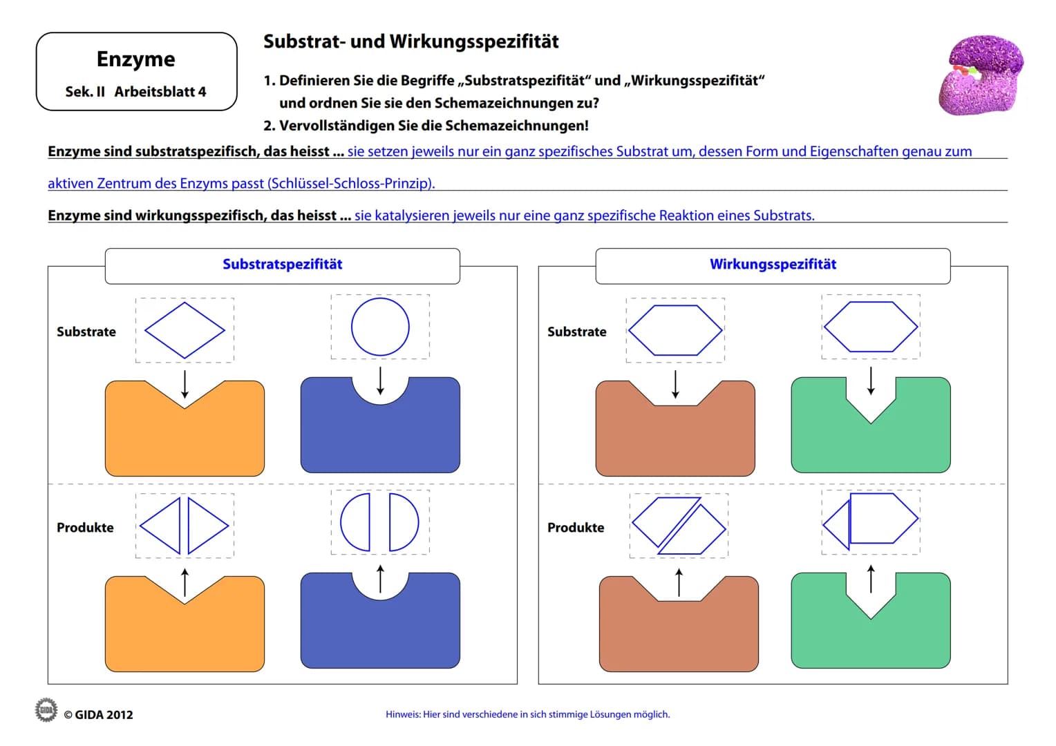 Energieinhalt
Enzyme
Sek. II Arbeitsblatt 1
A+B
Energiediagramm chemischer Reaktionen ohne und mit Katalysator
1. Zeichnen Sie die Kurvenver