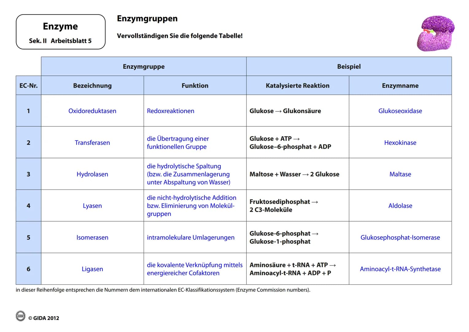 Energieinhalt
Enzyme
Sek. II Arbeitsblatt 1
A+B
Energiediagramm chemischer Reaktionen ohne und mit Katalysator
1. Zeichnen Sie die Kurvenver