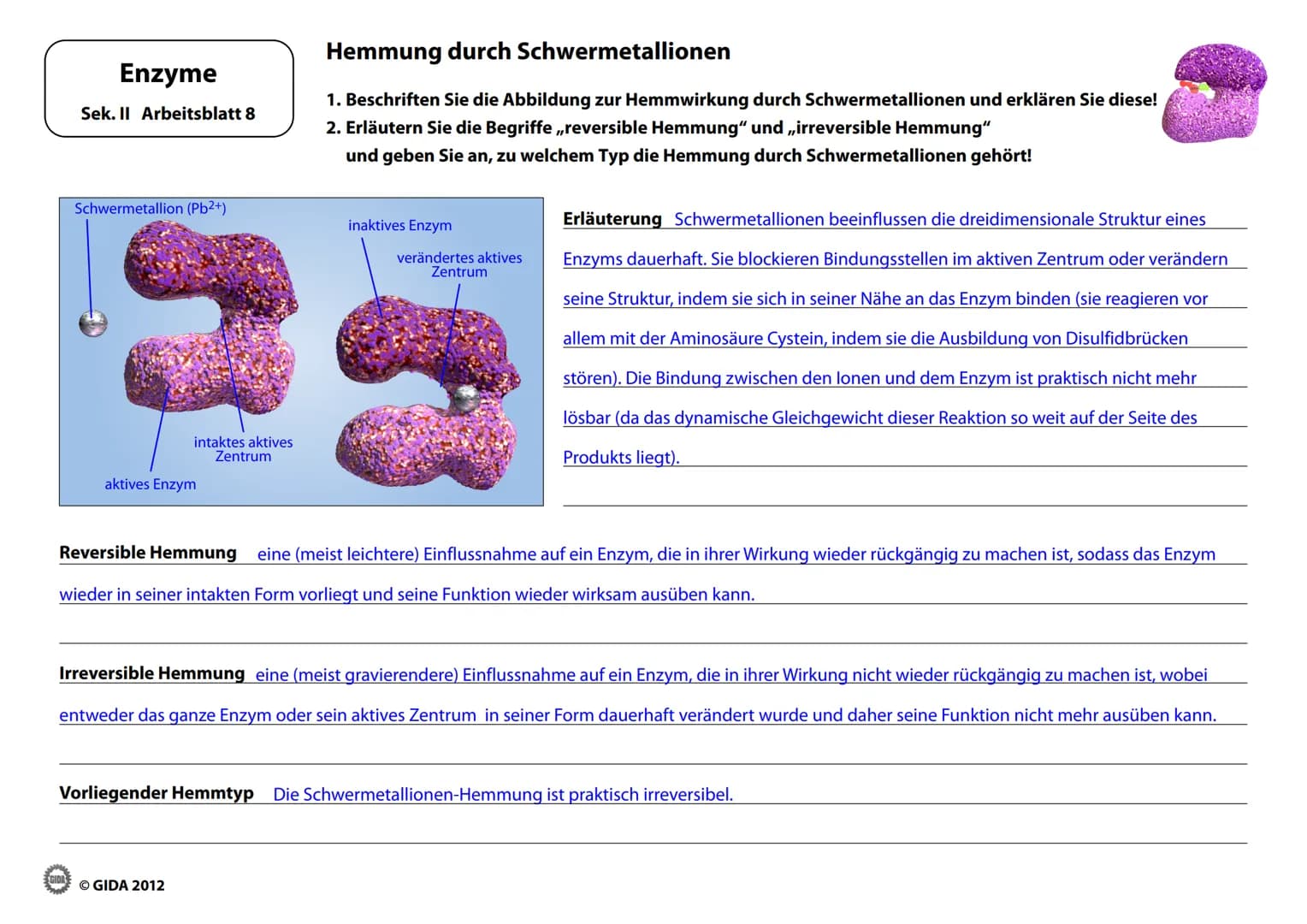 Energieinhalt
Enzyme
Sek. II Arbeitsblatt 1
A+B
Energiediagramm chemischer Reaktionen ohne und mit Katalysator
1. Zeichnen Sie die Kurvenver