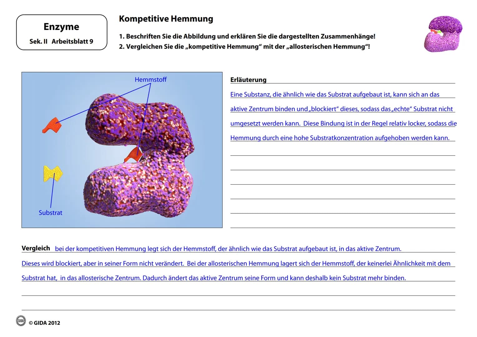 Energieinhalt
Enzyme
Sek. II Arbeitsblatt 1
A+B
Energiediagramm chemischer Reaktionen ohne und mit Katalysator
1. Zeichnen Sie die Kurvenver