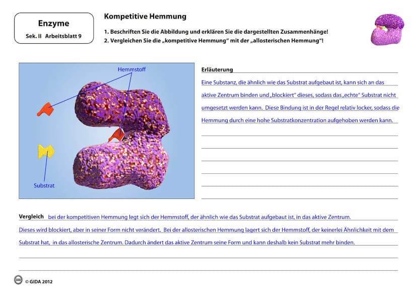 Energieinhalt
Enzyme
Sek. II Arbeitsblatt 1
A+B
Energiediagramm chemischer Reaktionen ohne und mit Katalysator
1. Zeichnen Sie die Kurvenver